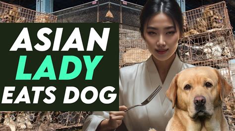 asian dog sex|Asian Zoophilia Porn Videos